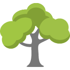 Tulsa Trees Removal