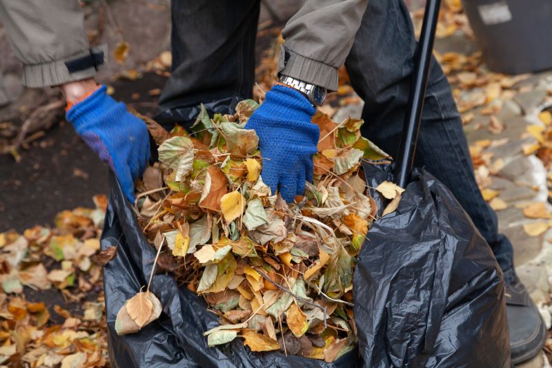Leaf Collection Methods