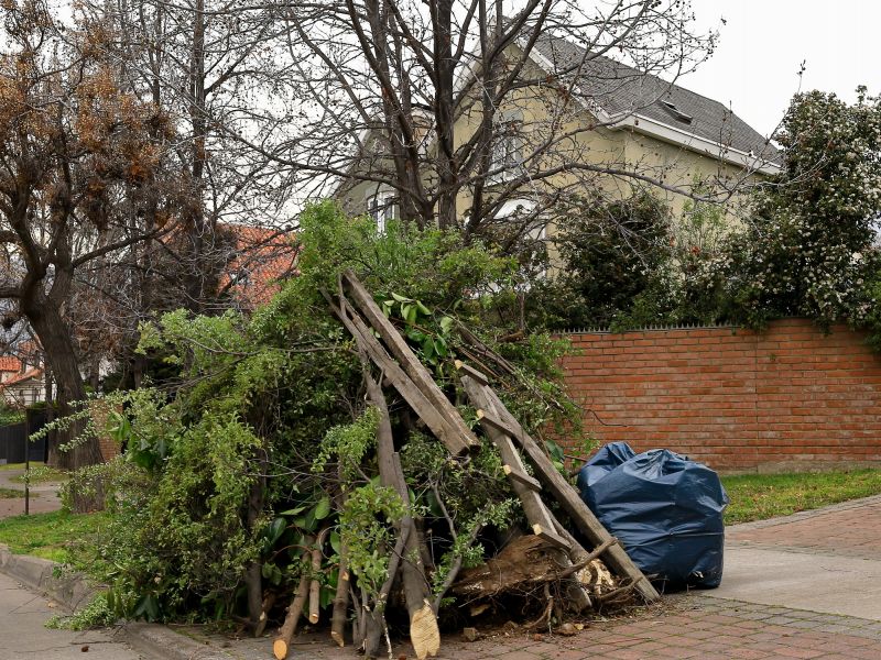 Leaf Disposal Options