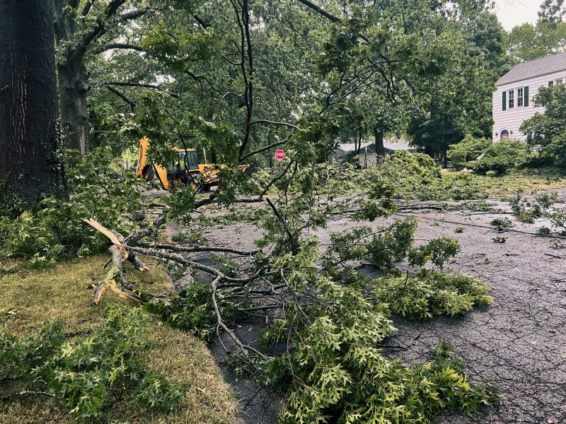Post-Removal Landscape