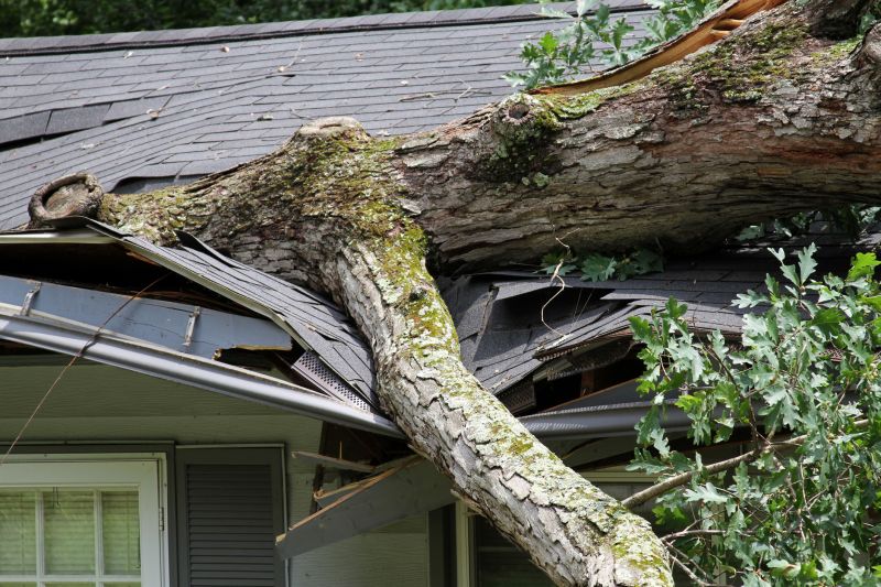Storm Damage Response