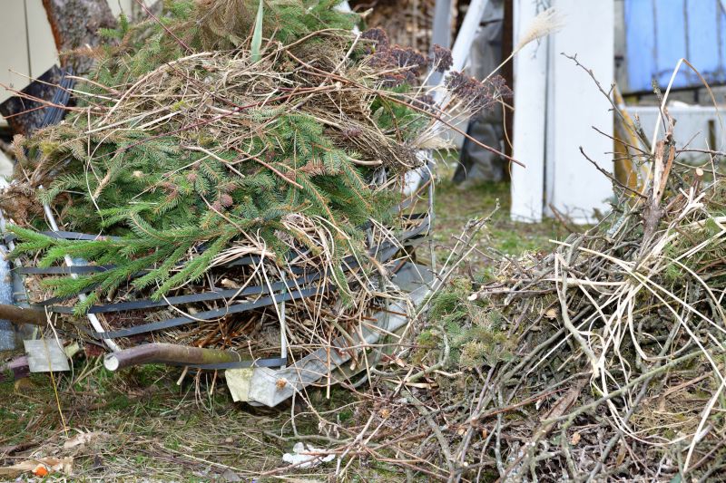Tree Removal Companies