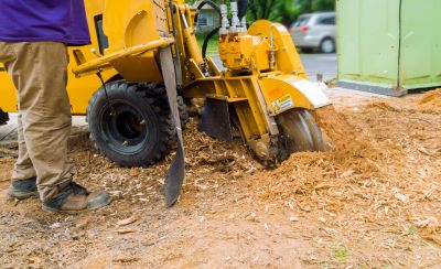 Equipment Providers